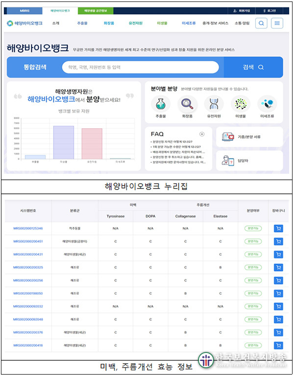 해조류서 미백·주름 개선 소재 개발…해수부, 상용화 추진